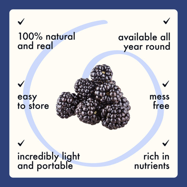 Freeze Dried Blackberry Whole - Image 6