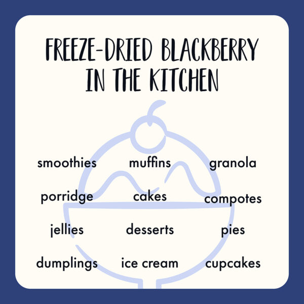 Freeze Dried Blackberry Whole - Image 7