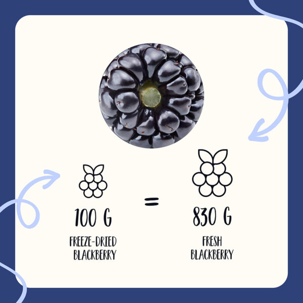 Freeze Dried Blackberry Whole - Image 8