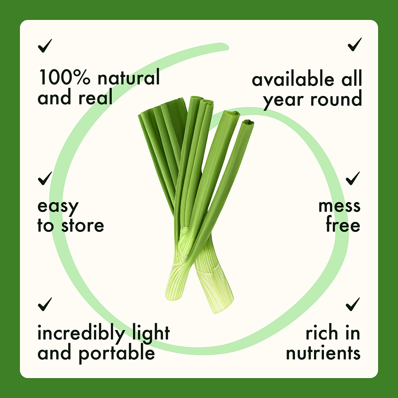Freeze Dried Chive Chopped - Image 6