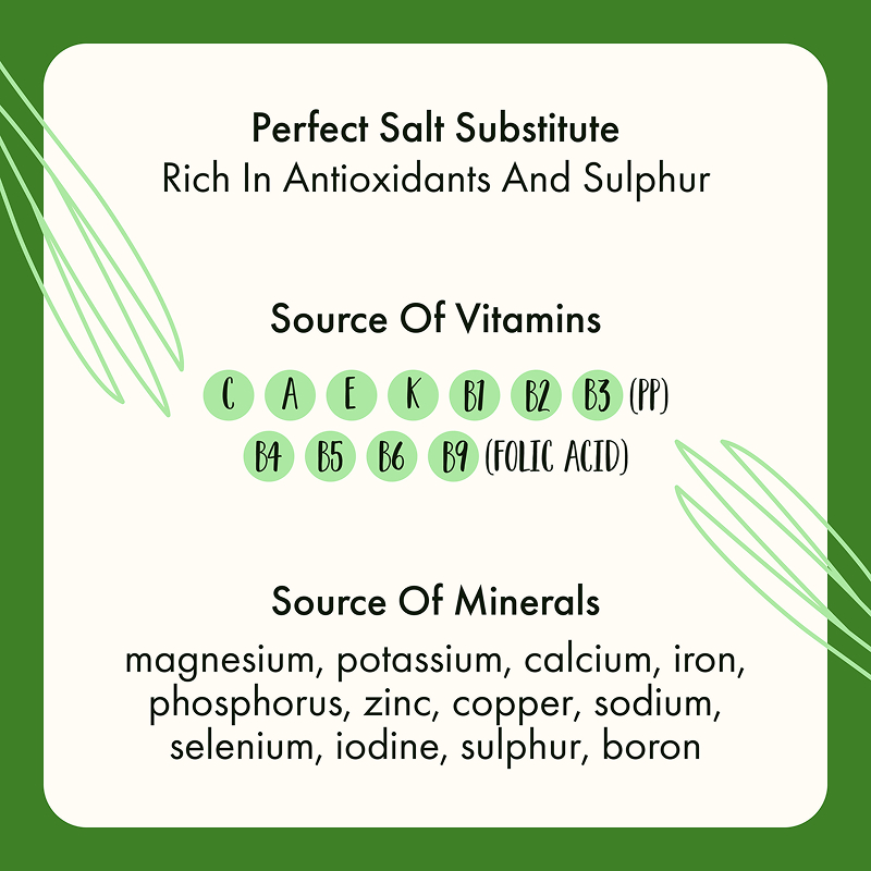Freeze Dried Chive Chopped - Image 9