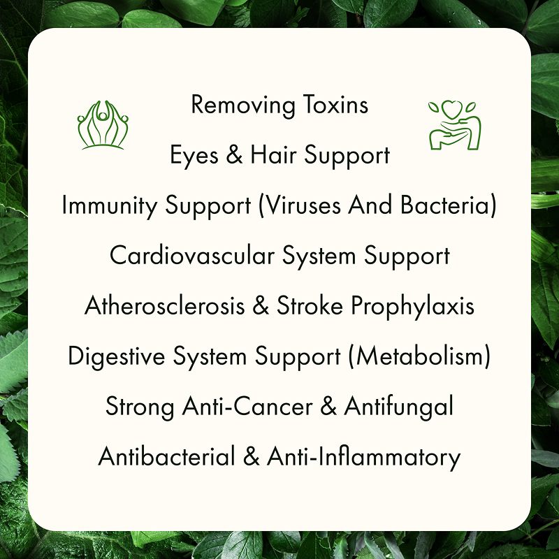 Freeze Dried Chive Chopped - Image 11