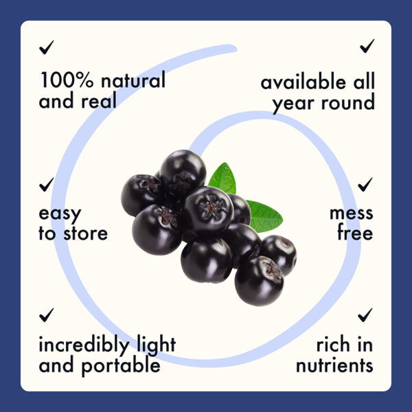 Freeze Dried Chokeberry Whole - Image 6