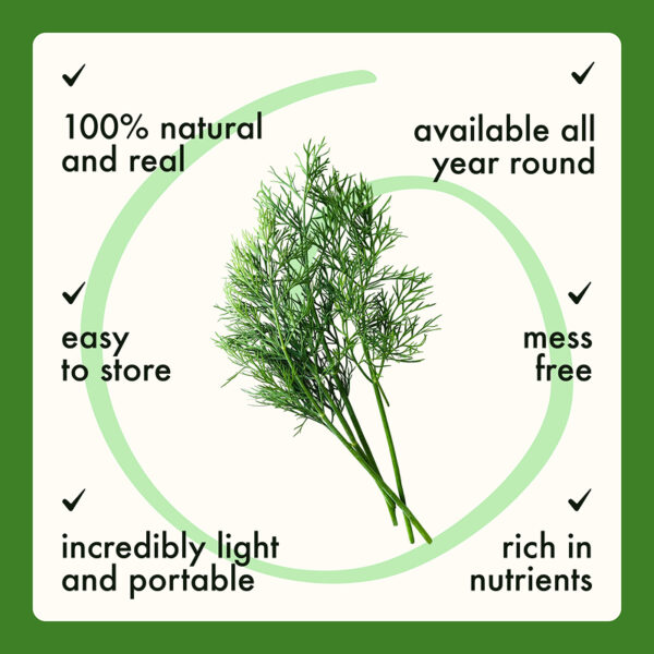 Freeze Dried Dill Chopped - Image 6