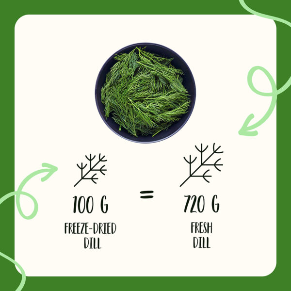Freeze Dried Dill Chopped - Image 8