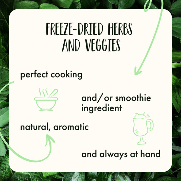 Freeze Dried Dill Chopped - Image 10