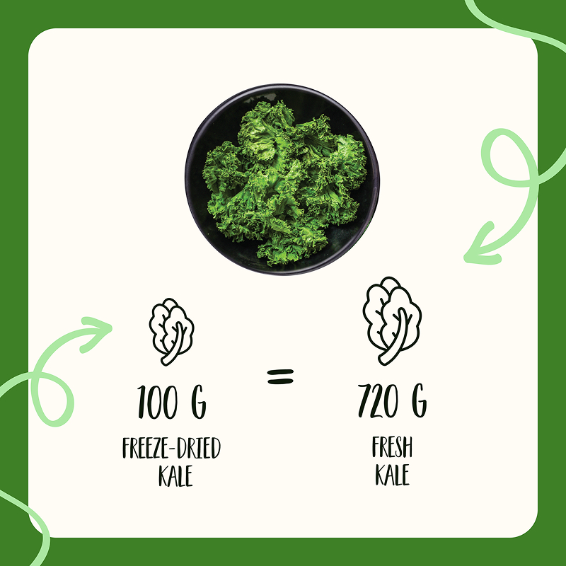 Freeze Dried Kale Powder - Image 14