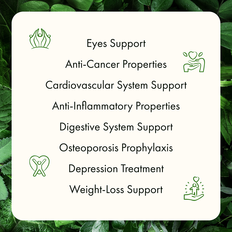 Freeze Dried Kale Powder - Image 11