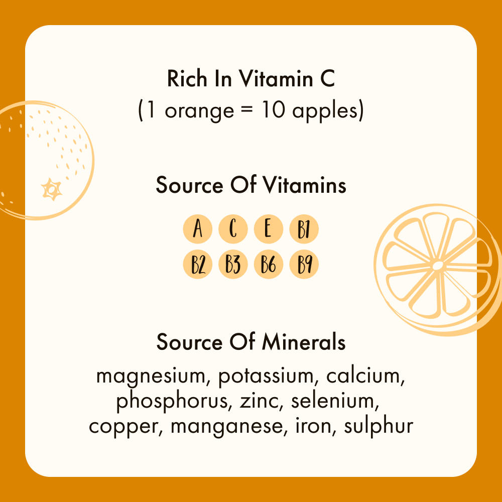 Freeze Dried Orange Slices - Image 9