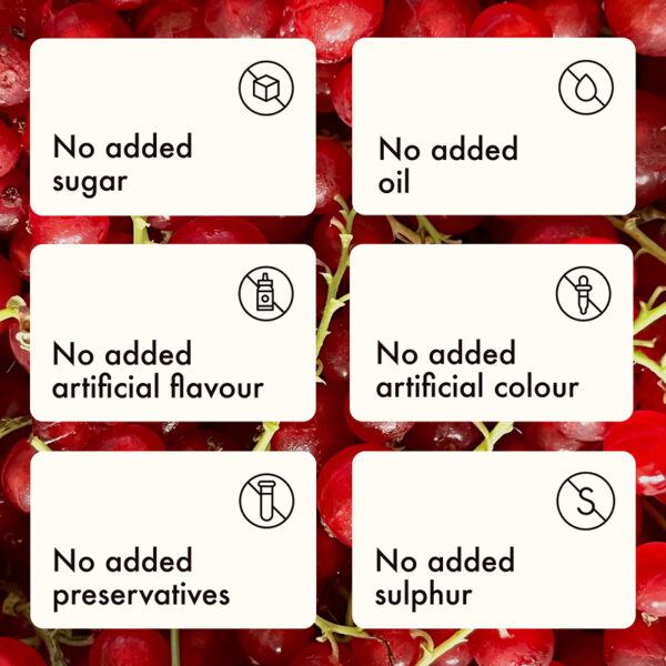 Freeze Dried Red Currant Whole - Image 4