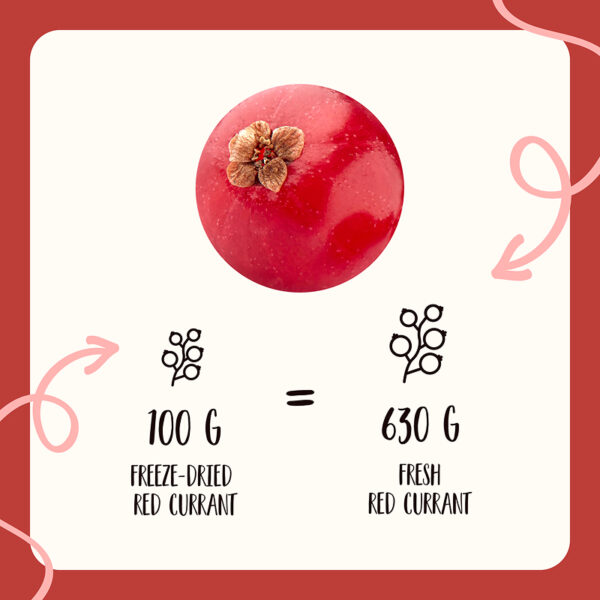 Freeze Dried Red Currant Whole - Image 8