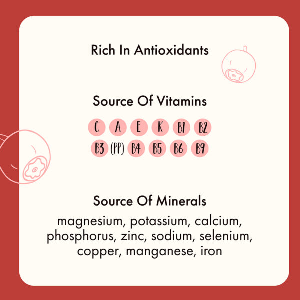 Freeze Dried Red Currant Whole - Image 9