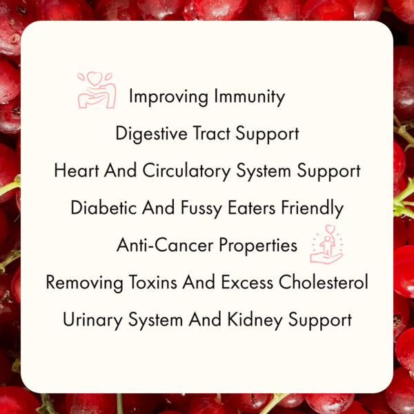 Freeze Dried Red Currant Whole - Image 11