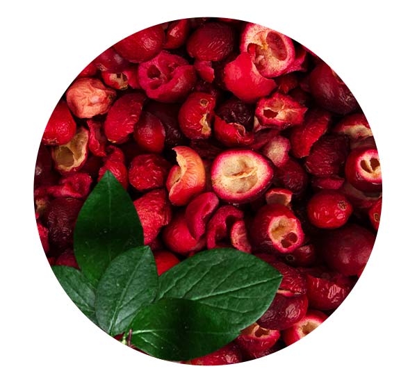 Freeze Dried Black Cranberry