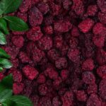 Freeze Dried Black Blackberry