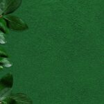 Freeze Dried Kale