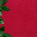 Freeze Dried Raspberry Powder