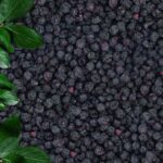 Freeze Dried Wild Blueberries