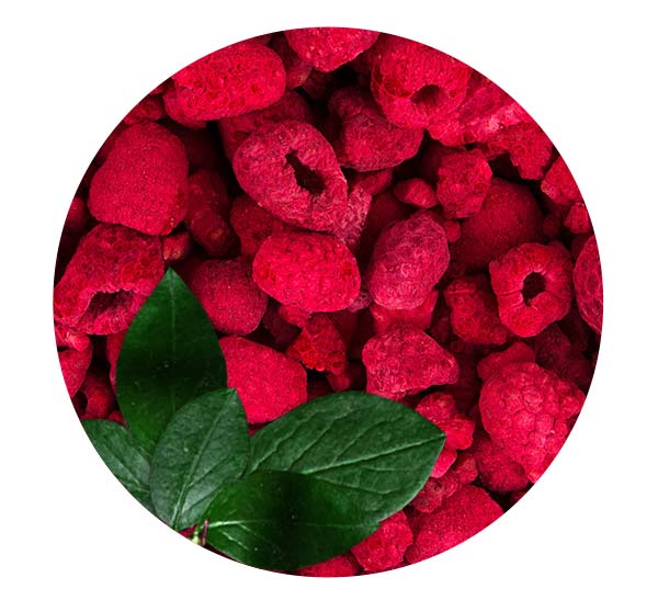 Freeze Dried Black Raspberry