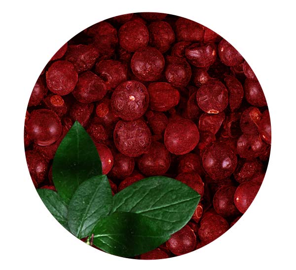 Freeze Dried Red Currant