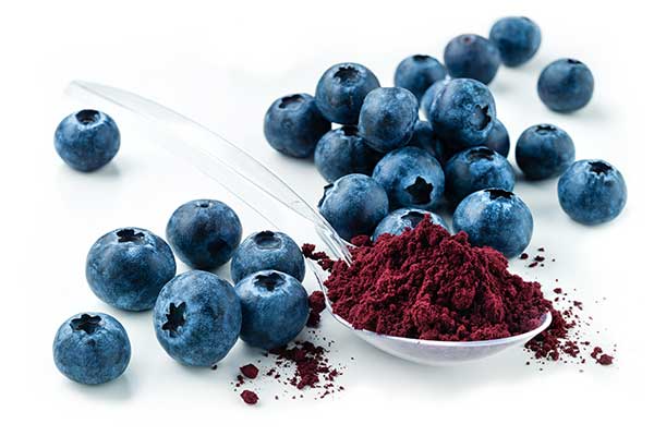 Freeze Dried Wild Blueberries