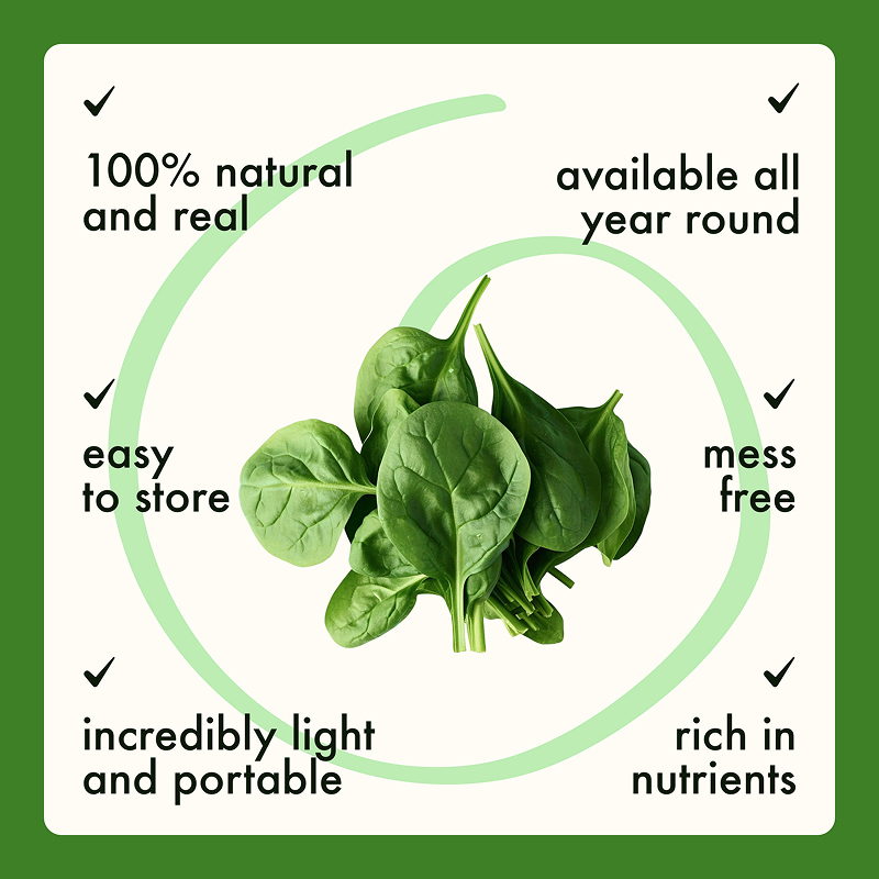 Freeze Dried Spinach Powder - Image 7