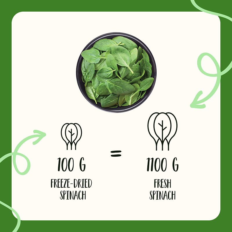 Freeze Dried Spinach Powder - Image 9