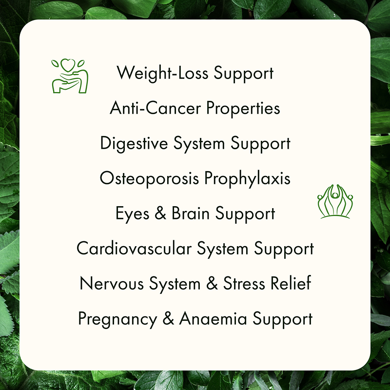 Freeze Dried Spinach Powder - Image 11