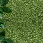 Freeze Dried Parsley