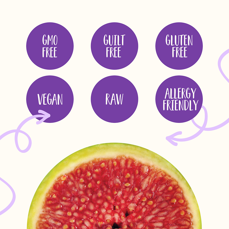 Freeze Dried Fig Slices - Image 5