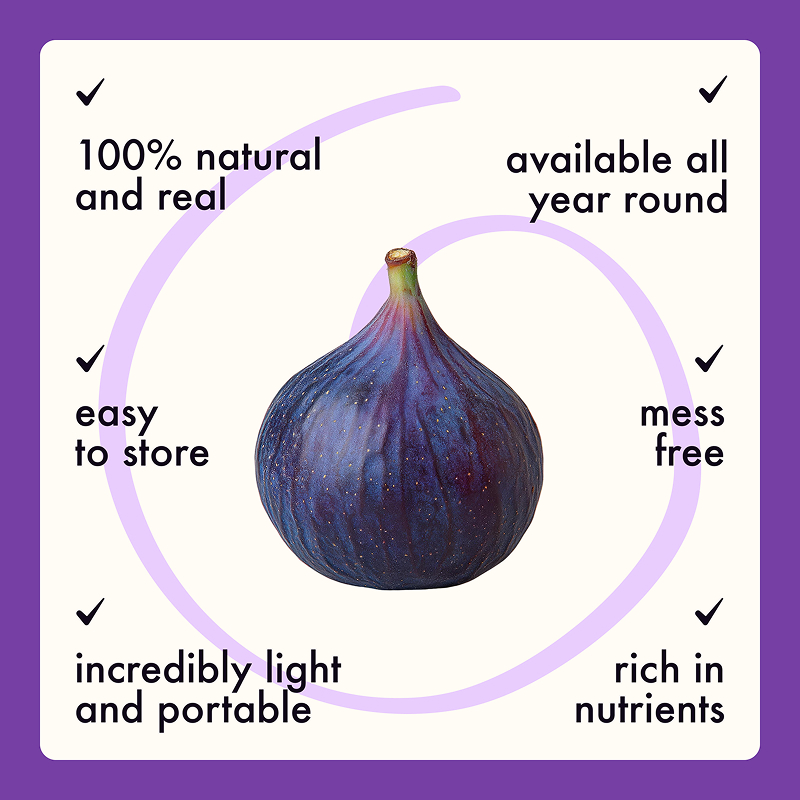 Freeze Dried Fig Slices - Image 6