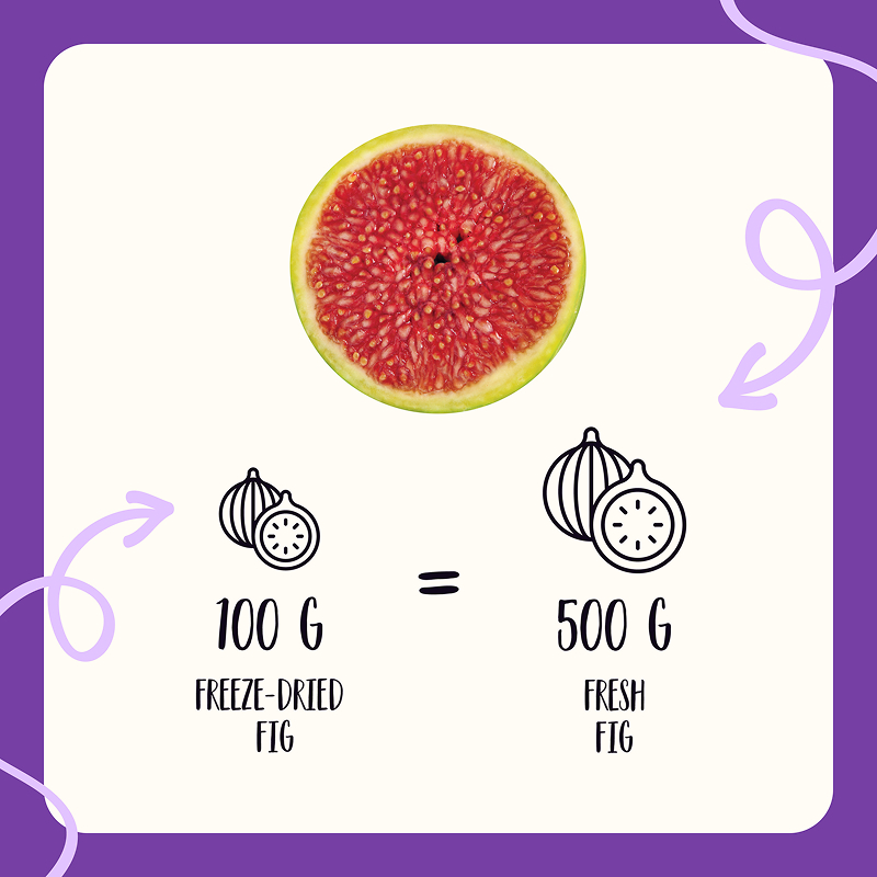 Freeze Dried Fig Slices - Image 8