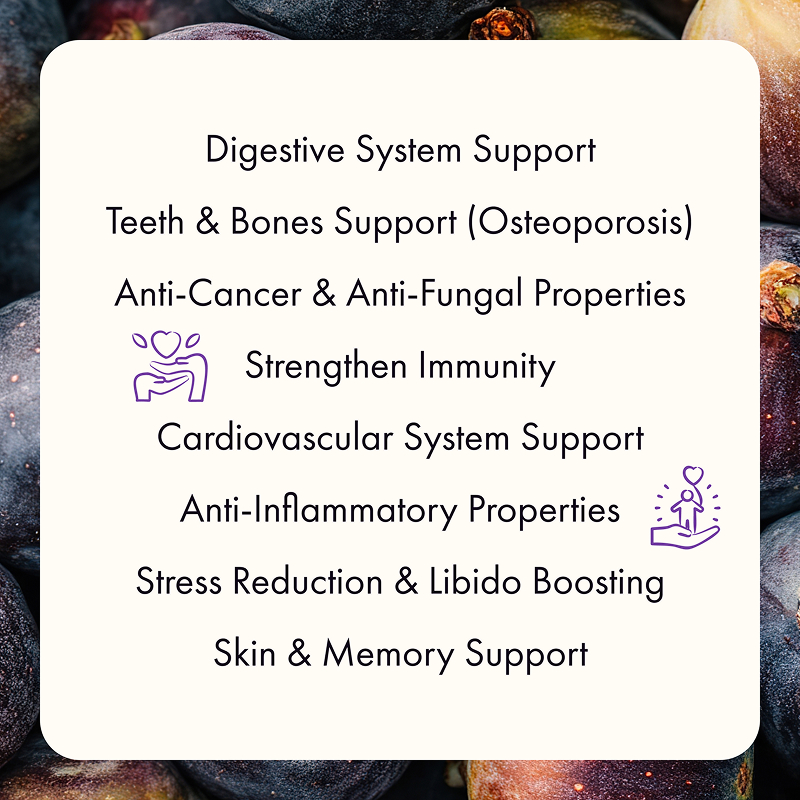 Freeze Dried Fig Slices - Image 11