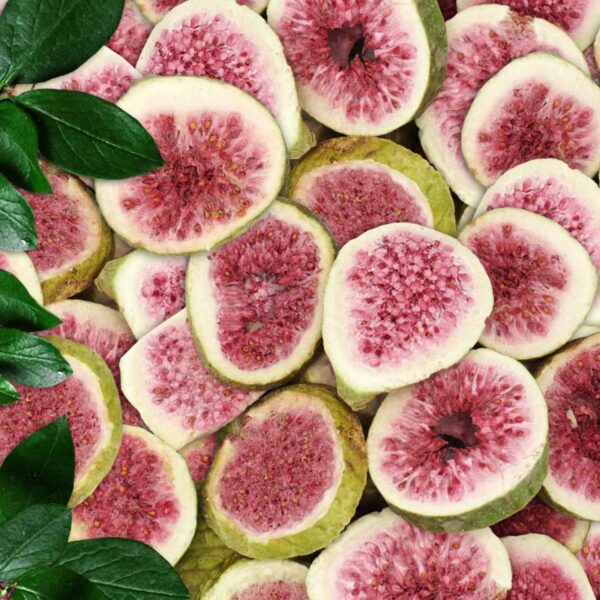 Freeze Dried Fig Slices