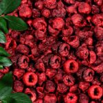 Freeze Dried Sour Cherry