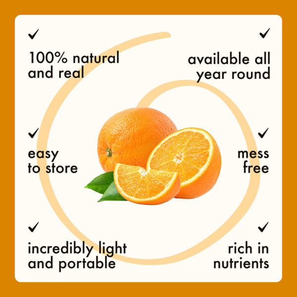 Freeze Dried Orange Slices - Image 6