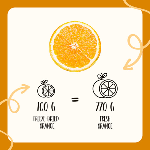 Freeze Dried Orange Slices - Image 8