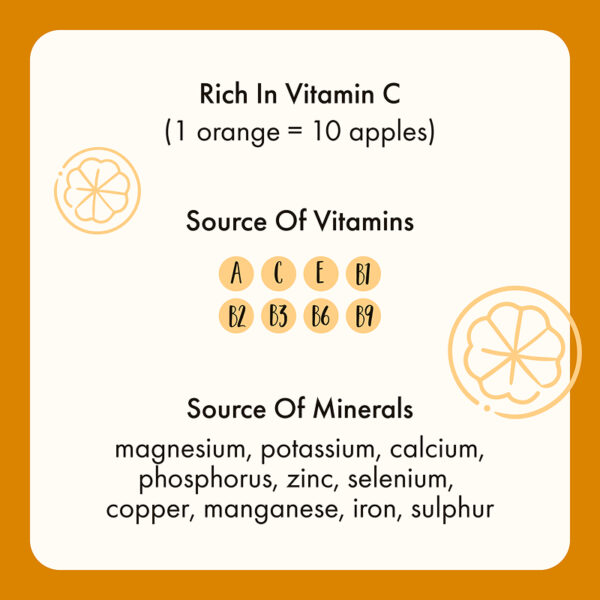 Freeze Dried Orange Slices - Image 9