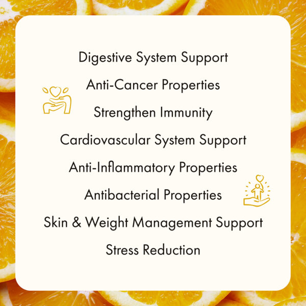 Freeze Dried Orange Slices - Image 11