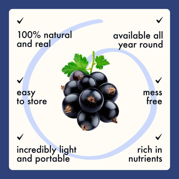 Freeze Dried Black Currant Whole - Image 9