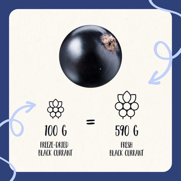 Freeze Dried Black Currant Whole - Image 7