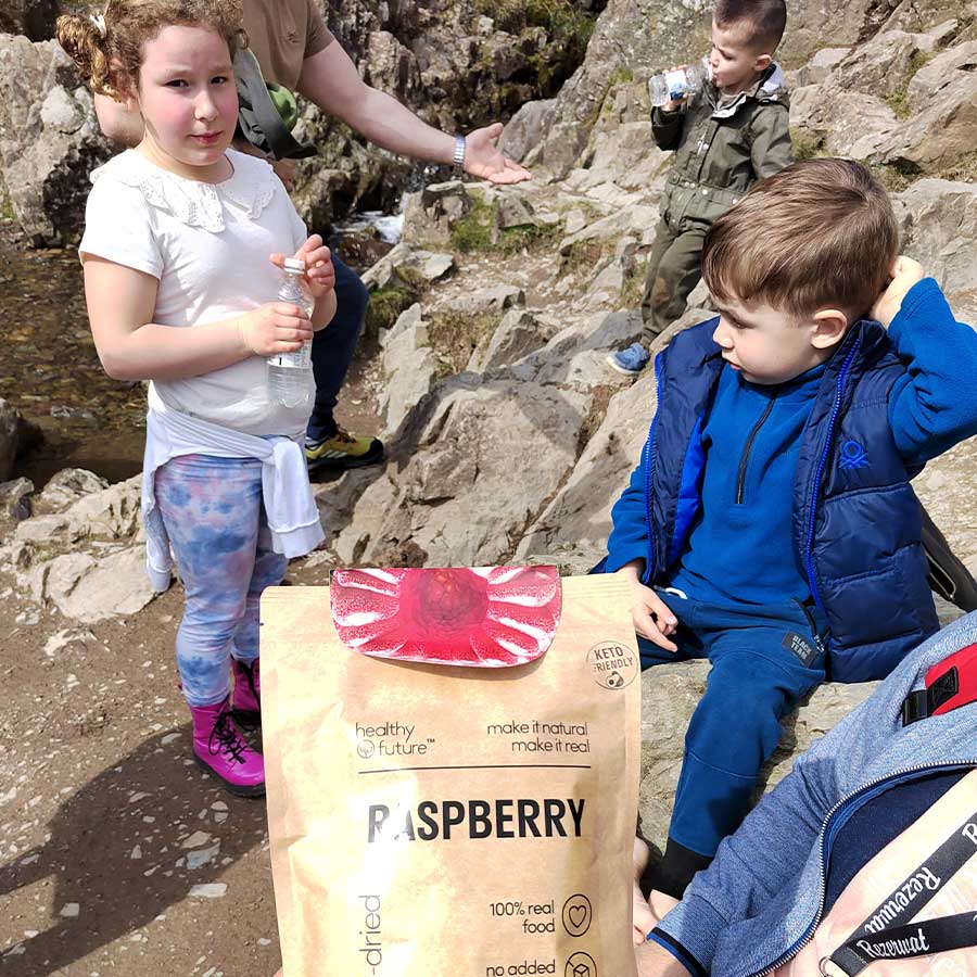 Best snacks for hiking Freezedried fruits Healthy Future