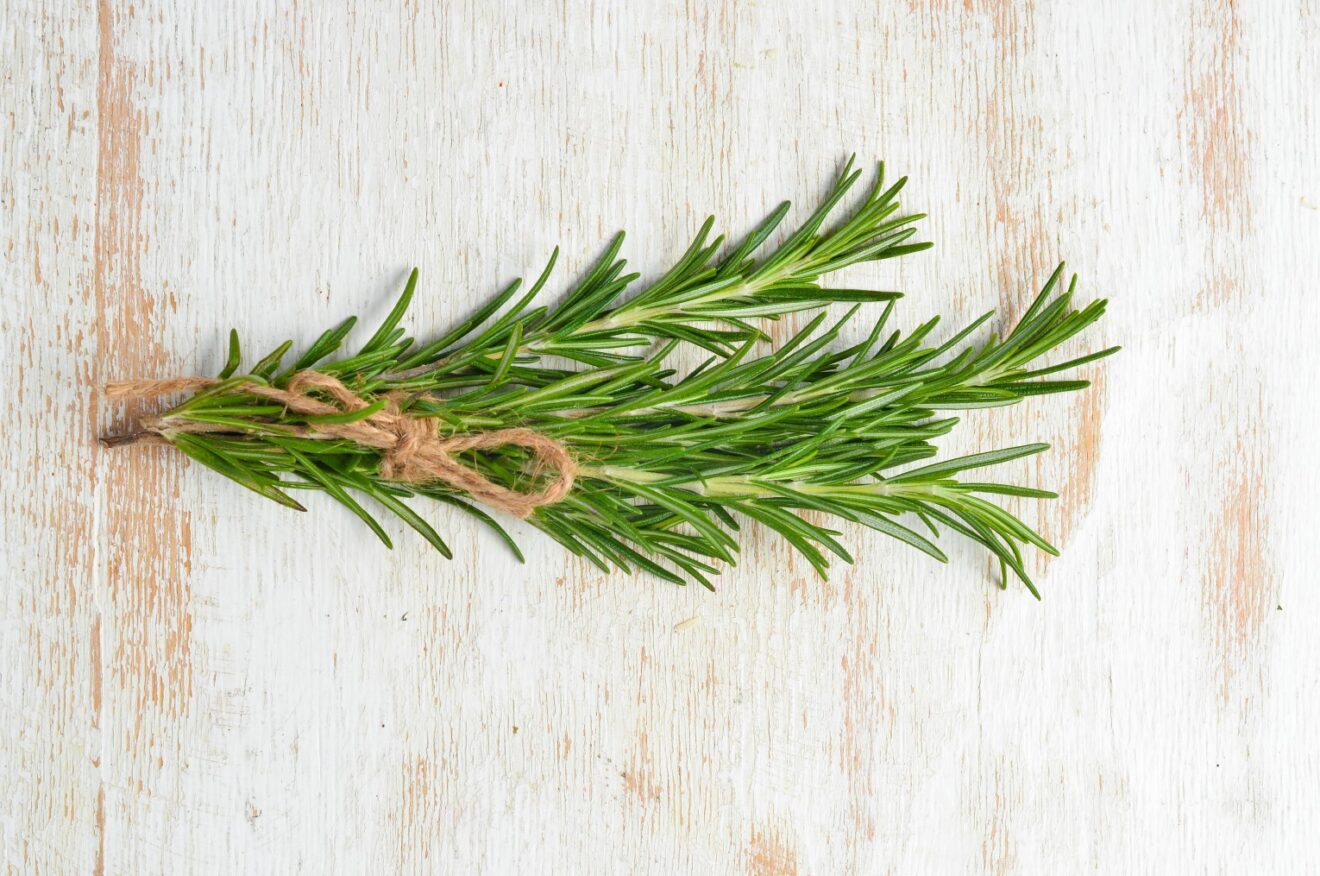 The Nutritional Value and Health Benefits of Fresh Rosemary