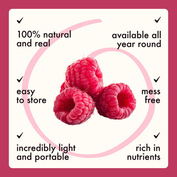 Freeze Dried Raspberry Whole - Image 9