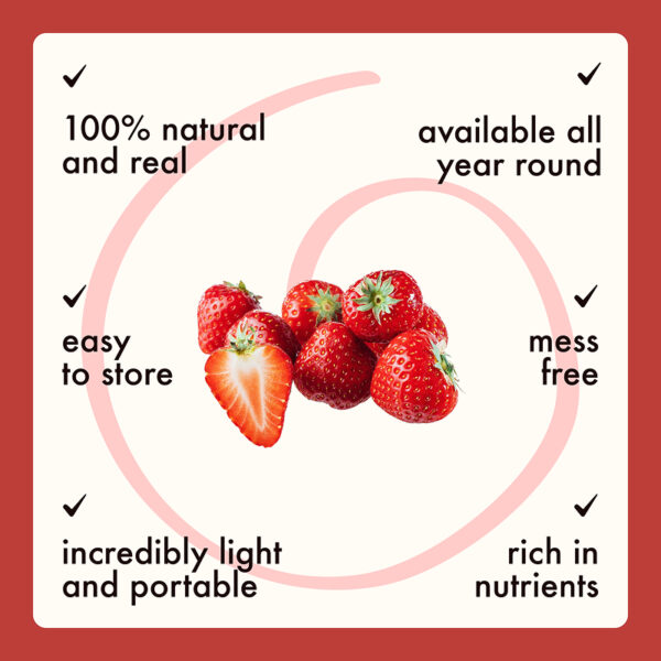 Freeze Dried Strawberry Slices - Image 9