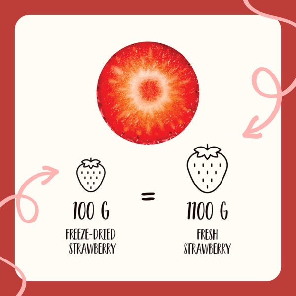 Freeze Dried Strawberry Slices - Image 7