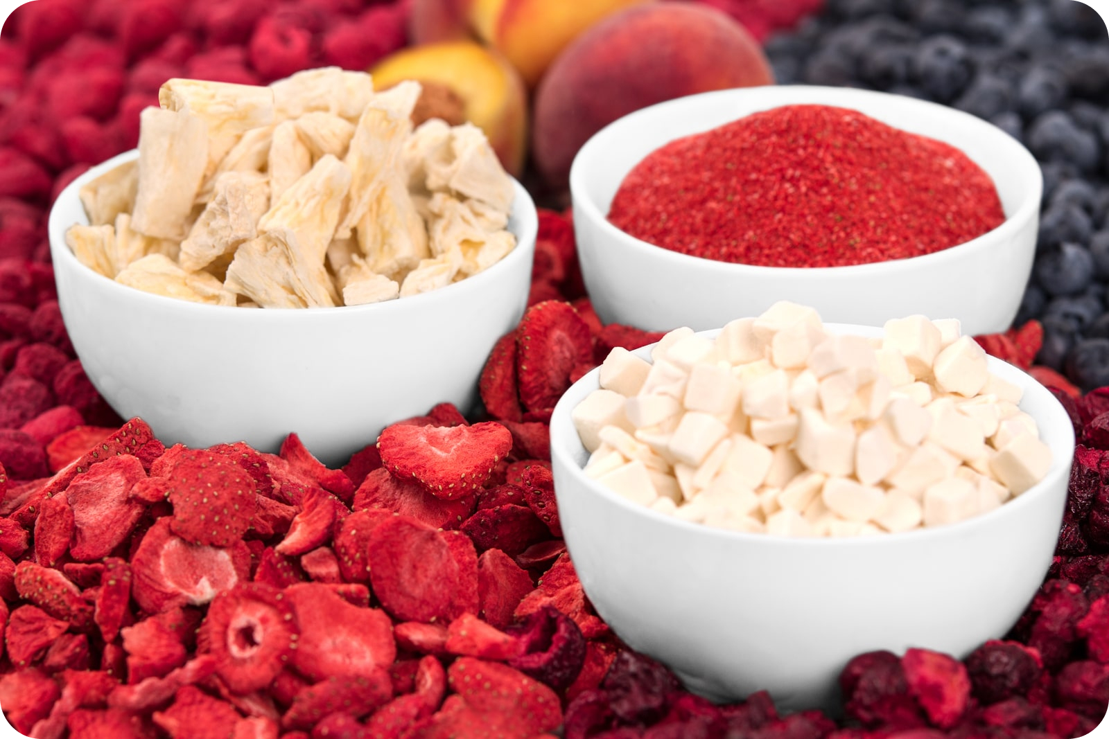 Allergy-Friendly Snacks: Freeze-Dried Fruit Everyone Can Enjoy