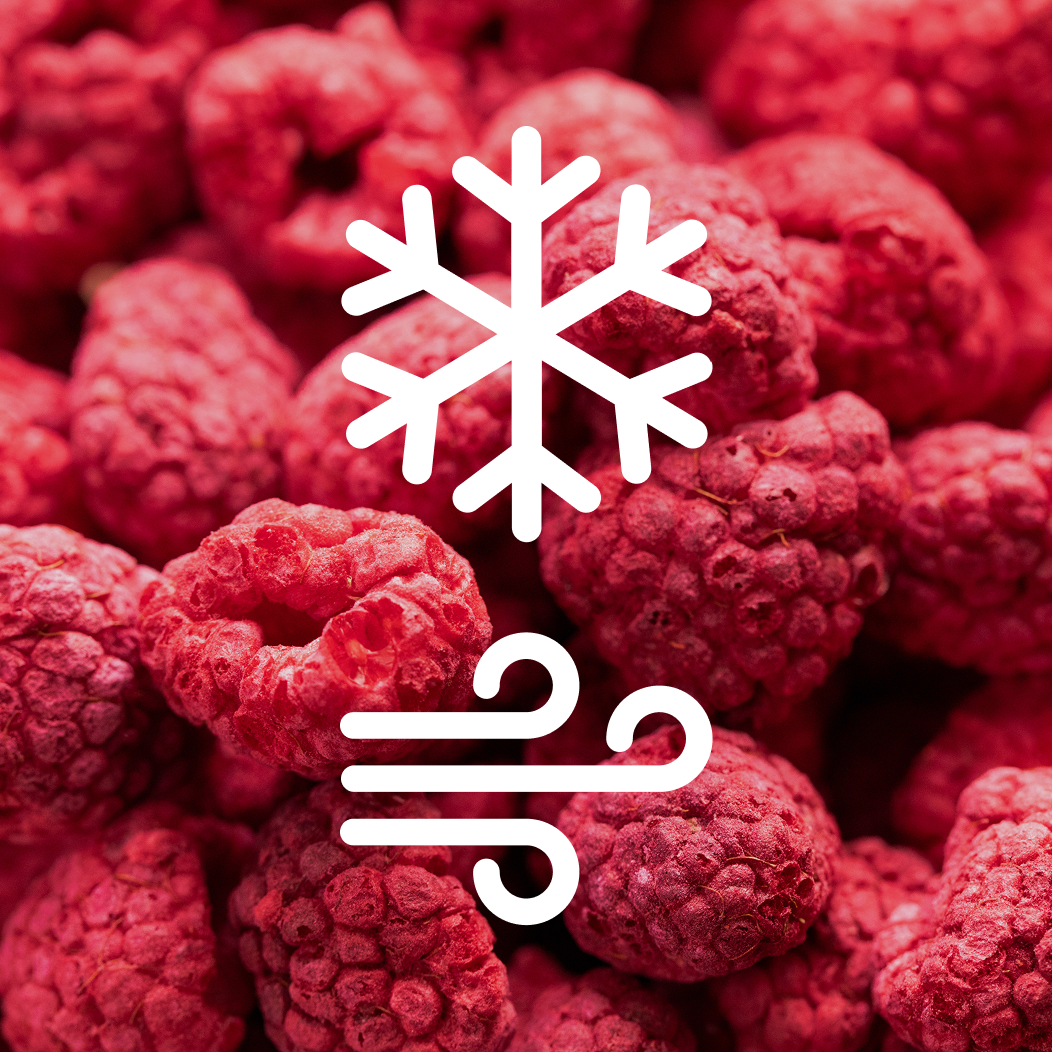 Freeze-Drying Process: The Science Behind Our Crunch