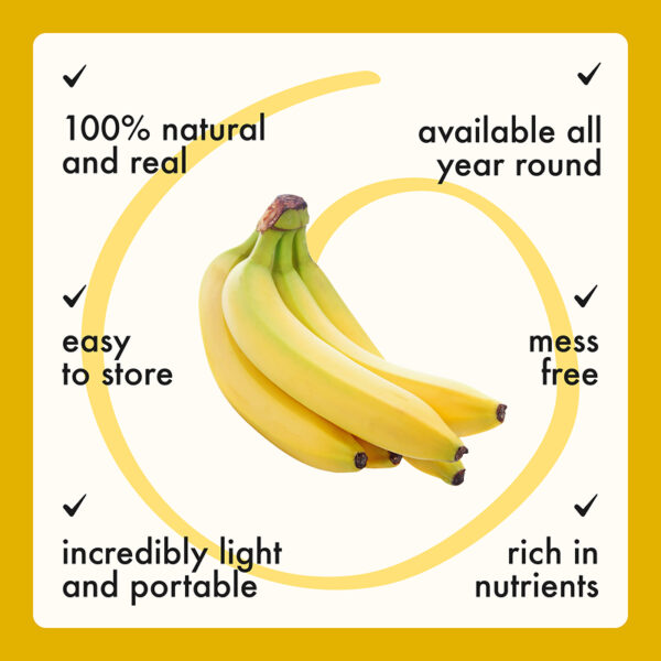 Freeze Dried Banana Cubes - Image 9