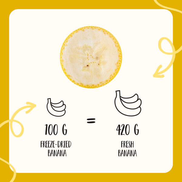 Freeze Dried Banana Cubes - Image 7